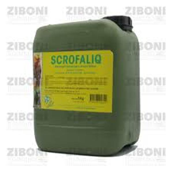 Scrofaliq